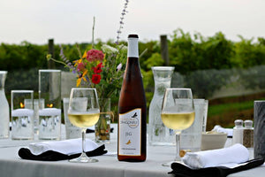 Wine and Cheese Festival