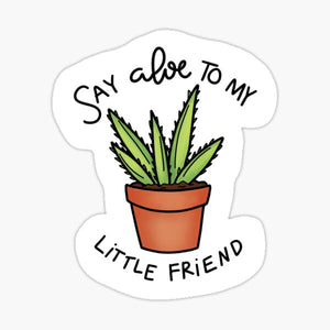 Aloe